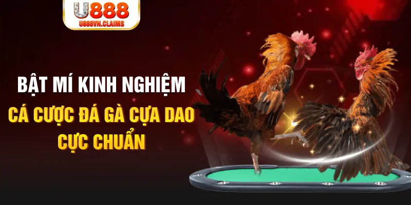 nohu90 com trong baccarat, ai là người chia bài chính？