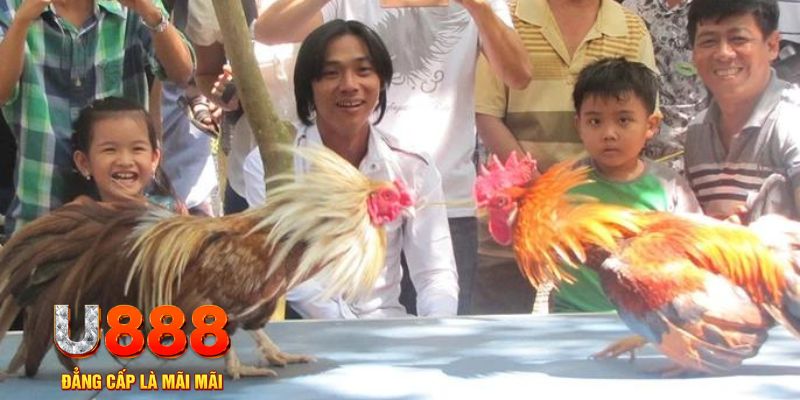 nohu90 com mơ thấy nổ hũ đánh con gì