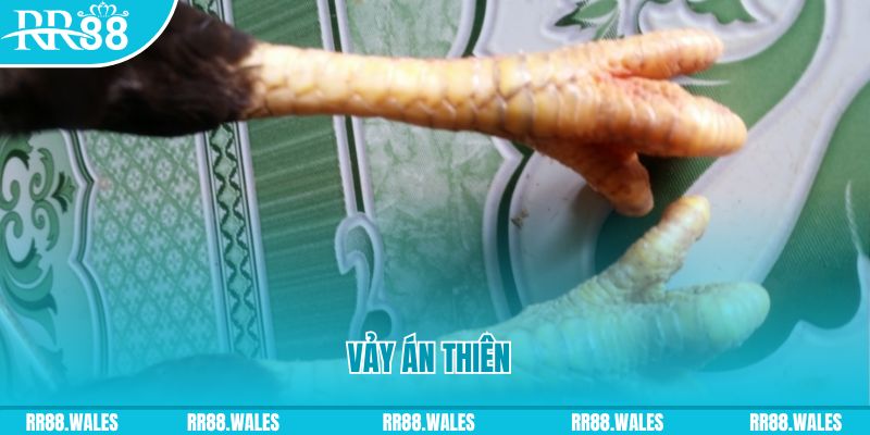 nohu90 com who wants to be a millionaire slot