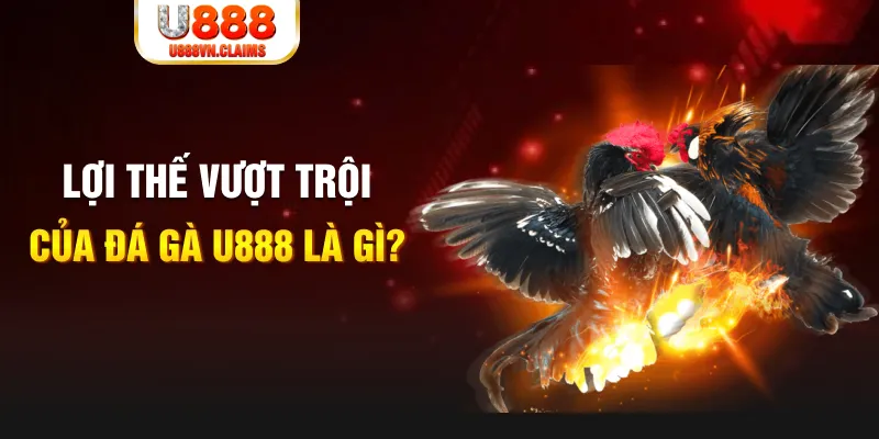 nohu90 com 888 slot là gì